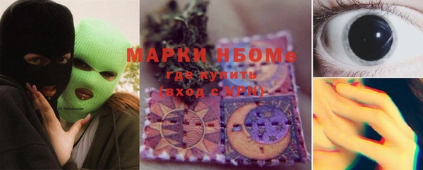 твердый Мегион