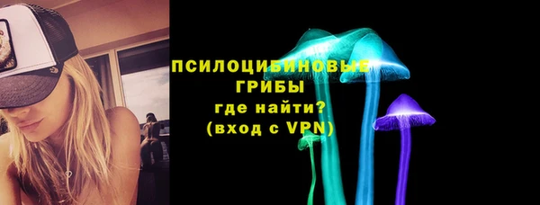 мдпв Михайлов