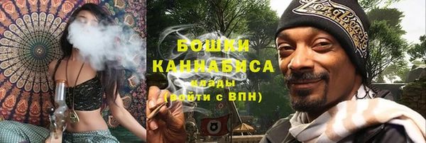 мдпв Михайлов