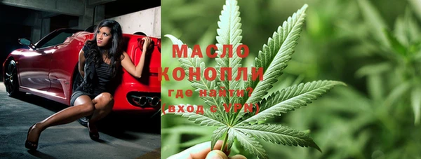 мдпв Михайлов