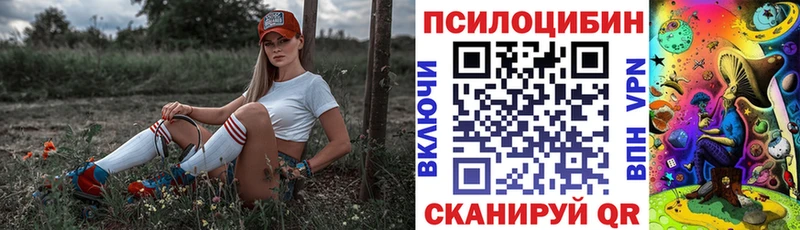 Псилоцибиновые грибы GOLDEN TEACHER  Стерлитамак 