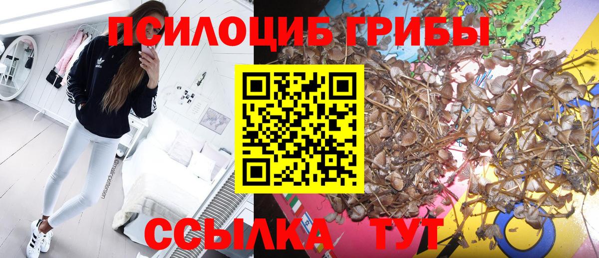 Псилоцибиновые грибы GOLDEN TEACHER Стерлитамак