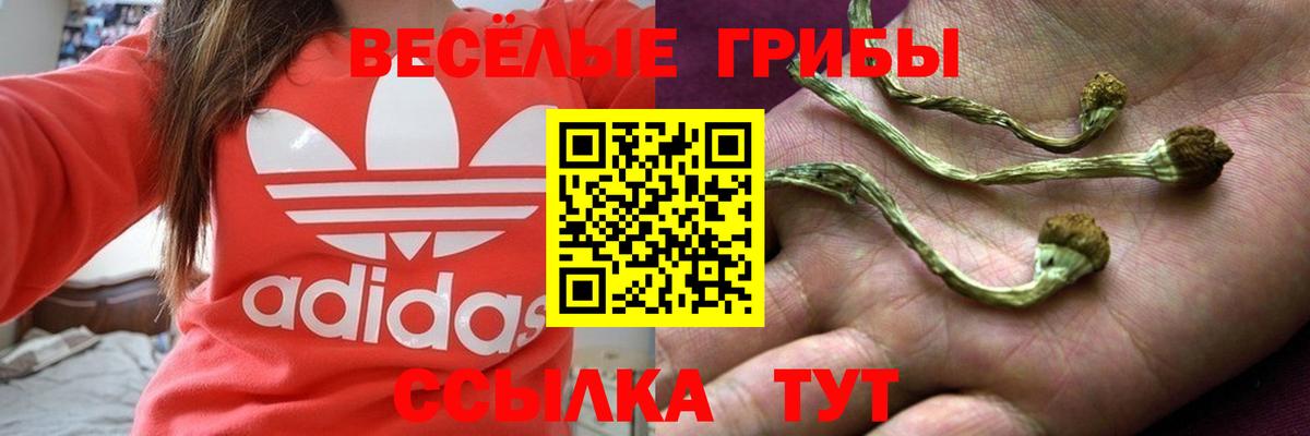 Псилоцибиновые грибы Psilocybine cubensis  Вход с VPN  Стерлитамак  Галлюциногенные грибы Cubensis 